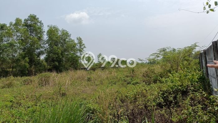 Tanah Strategis Dijual di Balaraja Tangerang 1463m2 Tanah Strategis Dijual di Balaraja Tangerang 1463m2