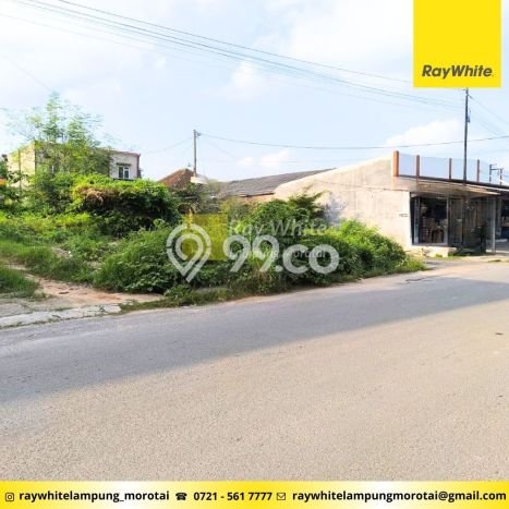 Kavling Tanah Dijual di Sukarame Bandar Lampung Spesifikasi 874m2 Kavling Tanah Dijual di Sukarame Bandar Lampung Spesifikasi 874m2