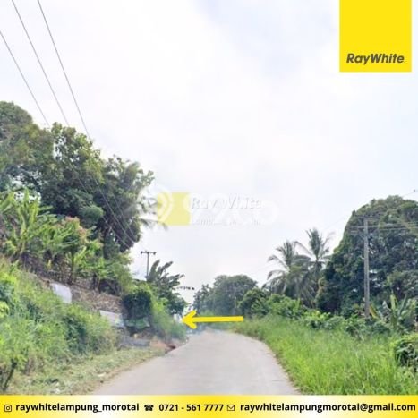 Lahan Kosong Dijual di Pesawaran dengan Area 7745m2 Lahan Kosong Dijual di Pesawaran dengan Area 7745m2