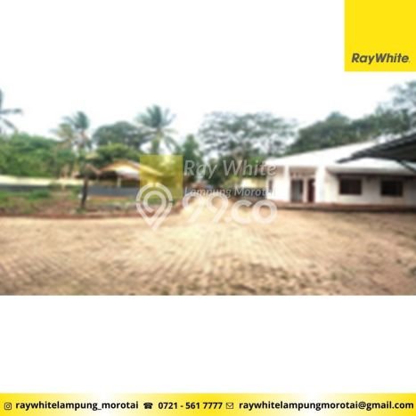 Tanah di Bumi Ratu Nuban, Lampung Tengah Luas 4306m2 Dijual Segera Tanah di Bumi Ratu Nuban, Lampung Tengah Luas 4306m2 Dijual Segera