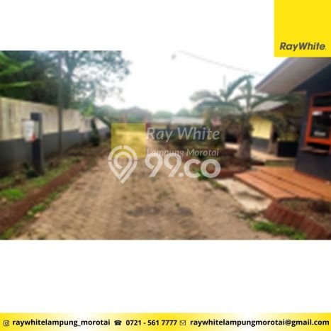 Tanah di Bumi Ratu Nuban, Lampung Tengah Luas 4306m2 Dijual Segera Tanah di Bumi Ratu Nuban, Lampung Tengah Luas 4306m2 Dijual Segera