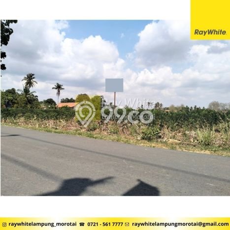 Tanah di Natar, Lampung Selatan Luas 12060m2 Dijual Segera Tanah di Natar, Lampung Selatan Luas 12060m2 Dijual Segera