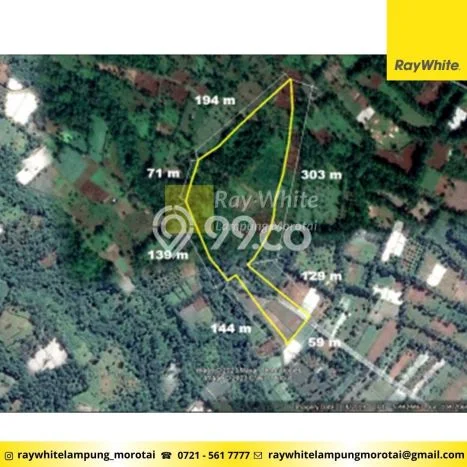 Kavling Tanah Dijual di Gisting Tanggamus Spesifikasi 35540m2 Kavling Tanah Dijual di Gisting Tanggamus Spesifikasi 35540m2
