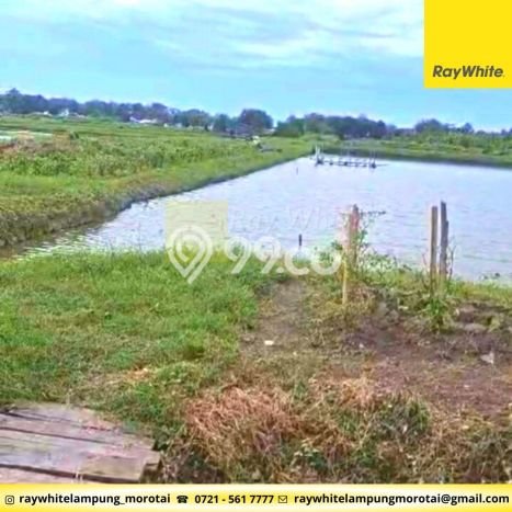 Kavling Tanah di Labuhan Maringgai Dijual Luas 155190m2 Legalitas SHM Kavling Tanah di Labuhan Maringgai Dijual Luas 155190m2 Legalitas SHM