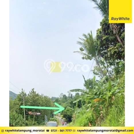 Lahan Kosong Dijual di Pesawaran dengan Area 7745m2 Lahan Kosong Dijual di Pesawaran dengan Area 7745m2