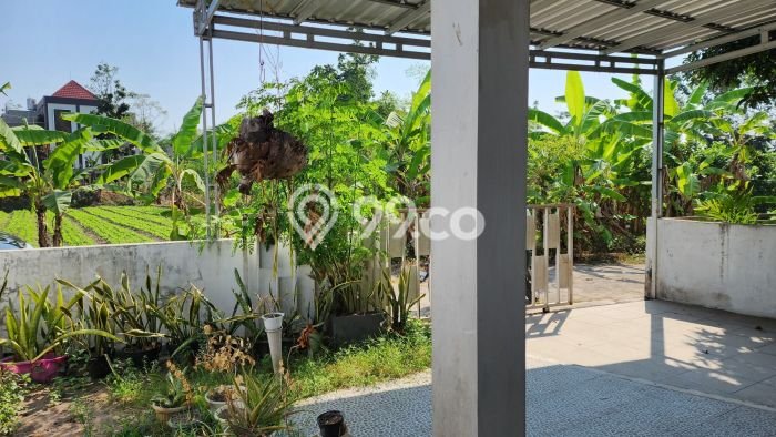 Rumah Tirtomartani Kalasan di Lingkungan Aman Dan Tenang Dekat Wisata Candi Kedulan Rumah Tirtomartani Kalasan di Lingkungan Aman Dan Tenang Dekat Wisata Candi Kedulan