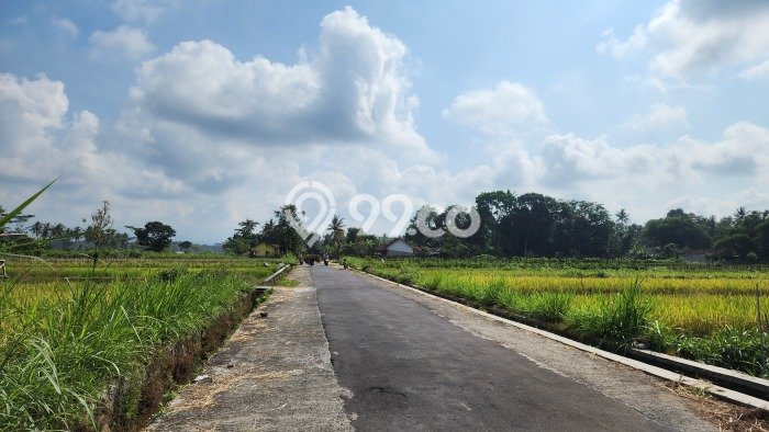 Tanah Area Berkembang Kawasan Manisrenggo, Luas 2405m2m², Lingkungan Asri, Akses Manisrenggo, Klaten, Klaten Tanah Area Berkembang Kawasan Manisrenggo, Luas 2405m2m², Lingkungan Asri, Akses Manisrenggo, Klaten, Klaten
