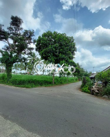 Dijual Tanah di Dampit Malang Luas 58000m2 SHM Dijual Tanah di Dampit Malang Luas 58000m2 SHM