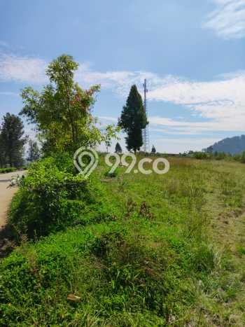 Tanah di Ciwidey, Luas 4575m2m², Akses Ciwidey, Bandung, Bandung Tanah di Ciwidey, Luas 4575m2m², Akses Ciwidey, Bandung, Bandung