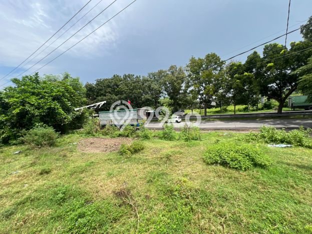 Tanah Dijual Lokasi Gianyar, Gianyar Luas 1433m2 Legalitas Aman Tanah Dijual Lokasi Gianyar, Gianyar Luas 1433m2 Legalitas Aman