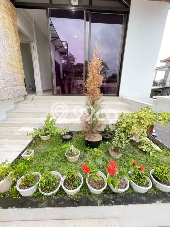 Disewakan Rumah Murah di Batubulan Gianyar Punya 3 Kamar Tidur Disewakan Rumah Murah di Batubulan Gianyar Punya 3 Kamar Tidur