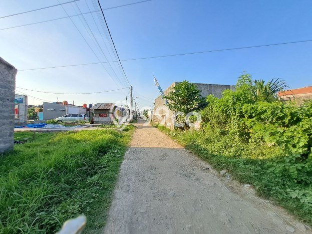 Tanah Kavling Siap Bangun Dekat Taman Alamanda Karang Satria Bekasi Tanah Kavling Siap Bangun Dekat Taman Alamanda Karang Satria Bekasi