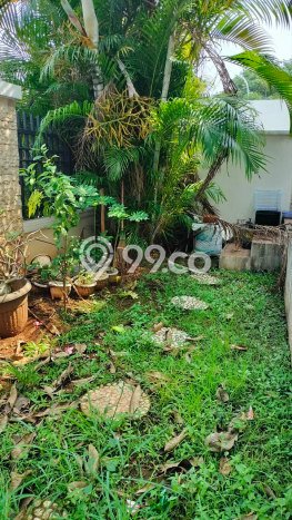 For Sale 1 Unit Rumah Hook Dijatimulya Bekasi Timur For Sale 1 Unit Rumah Hook Dijatimulya Bekasi Timur