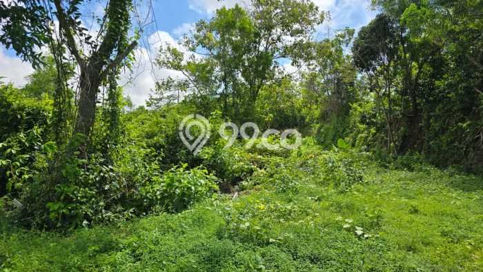 PELUANG INVESTASI! Vila Kawasan , Luas 170000m2m², Prospek Menjanjikan PELUANG INVESTASI! Vila Kawasan , Luas 170000m2m², Prospek Menjanjikan