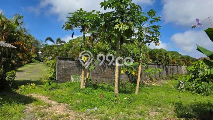 PELUANG INVESTASI! Vila Kawasan , Luas 170000m2m², Prospek Menjanjikan PELUANG INVESTASI! Vila Kawasan , Luas 170000m2m², Prospek Menjanjikan
