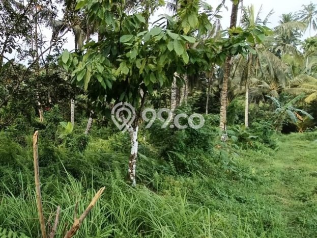 Lahan untuk Dijual di Tabanan Tabanan Luas 2740m2 Lahan untuk Dijual di Tabanan Tabanan Luas 2740m2