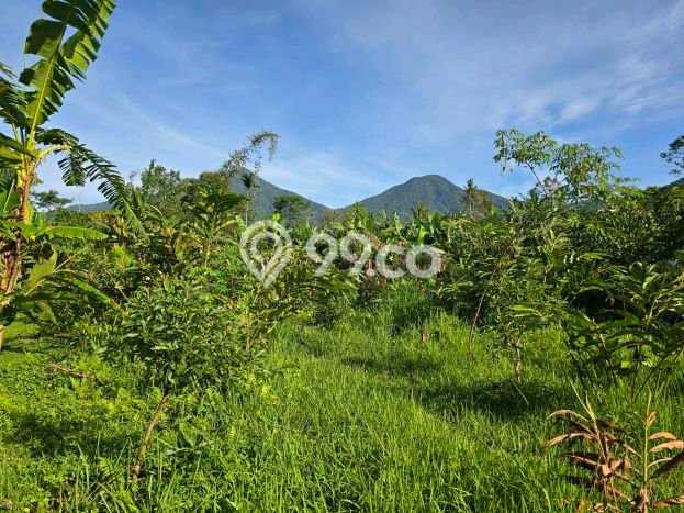 Untuk Dijual Tanah 1800m2 di Jatiluwih, Tabanan Untuk Dijual Tanah 1800m2 di Jatiluwih, Tabanan
