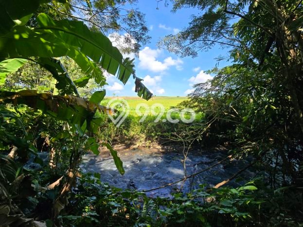 Tanah di Selemadeg, Tabanan Luas 1800m2 Dijual Segera Tanah di Selemadeg, Tabanan Luas 1800m2 Dijual Segera