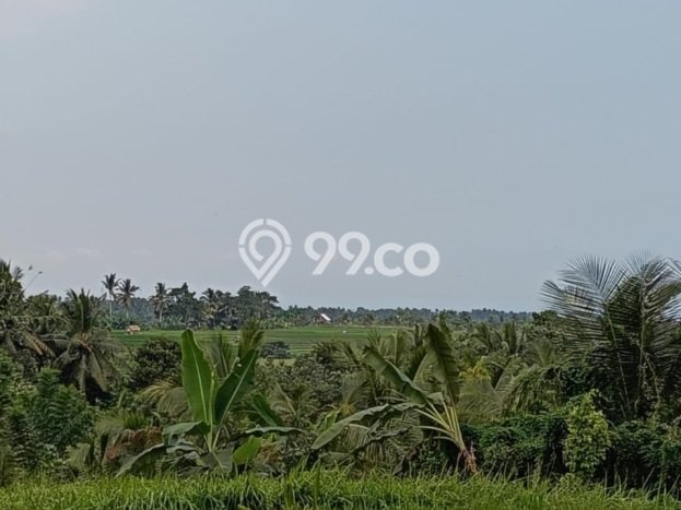 Lahan untuk Dijual di Tabanan Tabanan Luas 2740m2 Lahan untuk Dijual di Tabanan Tabanan Luas 2740m2
