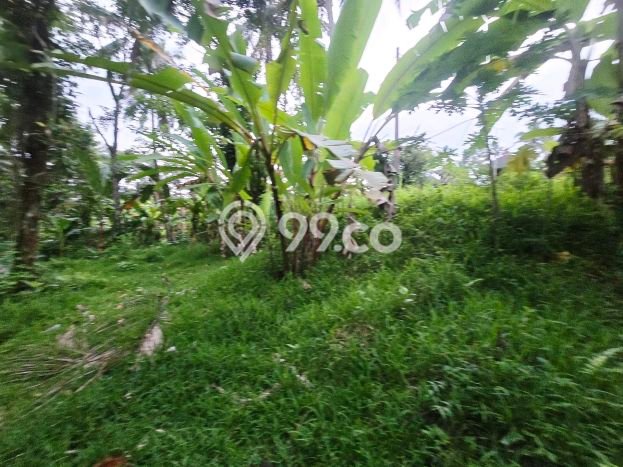 Lahan untuk Dijual di Kerambitan Tabanan Luas 1300m2 Lahan untuk Dijual di Kerambitan Tabanan Luas 1300m2