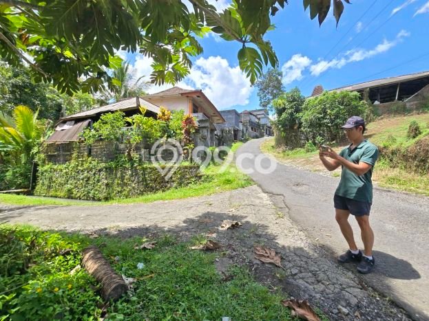 Kavling Tanah Dijual di Penebel, Tabanan, Luas 1540m2 Area Strategis Kavling Tanah Dijual di Penebel, Tabanan, Luas 1540m2 Area Strategis
