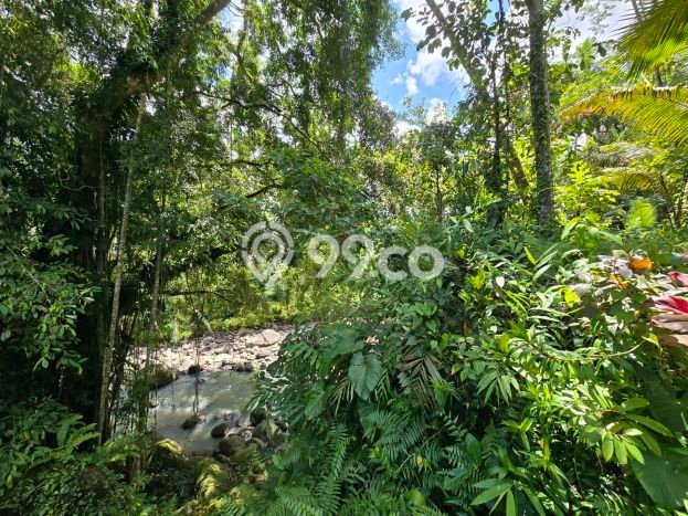 Kavling Tanah Dijual di Penebel, Tabanan, Luas 1540m2 Area Strategis Kavling Tanah Dijual di Penebel, Tabanan, Luas 1540m2 Area Strategis
