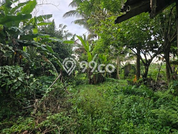 Dijual Tanah di Tabanan, Luas 3800m2 SHM Dijual Tanah di Tabanan, Luas 3800m2 SHM