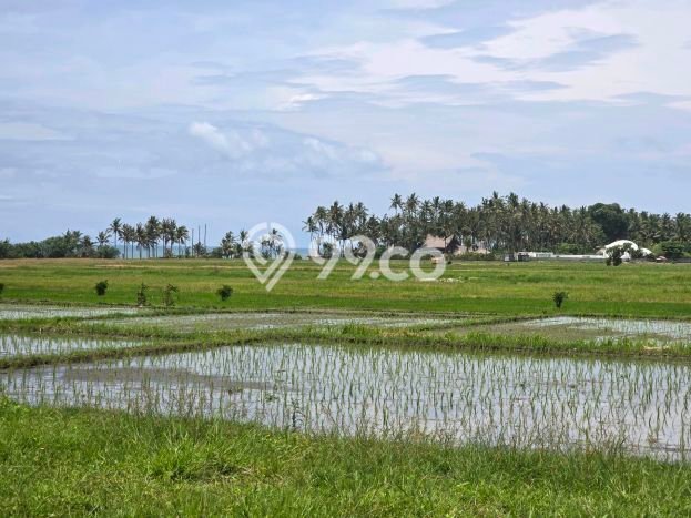 Lahan Dijual Lokasi Kerambitan, Tabanan dengan Luas Tanah 150m2 dan Status SHM Lahan Dijual Lokasi Kerambitan, Tabanan dengan Luas Tanah 150m2 dan Status SHM