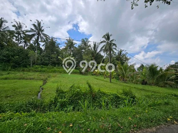 Tanah Dijual Lokasi Penebel, Tabanan Luas 3800m2 Legalitas Aman Tanah Dijual Lokasi Penebel, Tabanan Luas 3800m2 Legalitas Aman