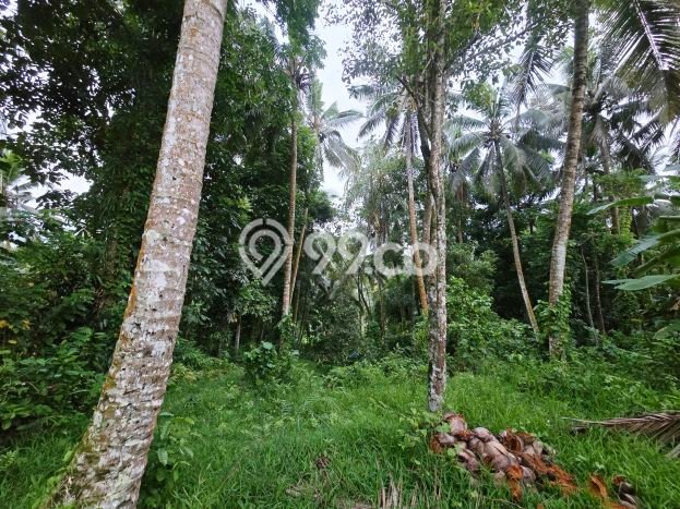 Lahan untuk Dijual di Kerambitan Tabanan Luas 1300m2 Lahan untuk Dijual di Kerambitan Tabanan Luas 1300m2