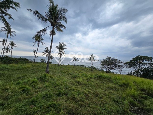 Tanah untuk Dijual di Selemadeg Tabanan Luas 16300m2 Tanah untuk Dijual di Selemadeg Tabanan Luas 16300m2