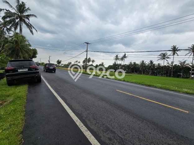 Kavling Tanah Dijual di Selemadeg Tabanan Spesifikasi 1800m2 Kavling Tanah Dijual di Selemadeg Tabanan Spesifikasi 1800m2