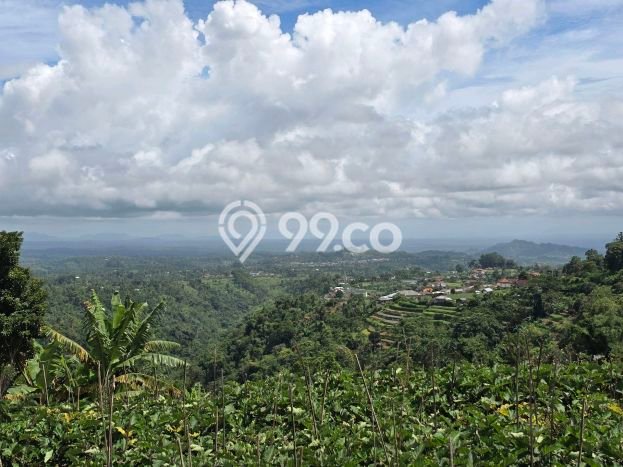 Tanah Dijual di Tabanan Seluas 300m2 Strategis Tanah Dijual di Tabanan Seluas 300m2 Strategis