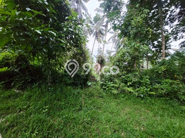 Lahan untuk Dijual di Kerambitan Tabanan Luas 1300m2 Lahan untuk Dijual di Kerambitan Tabanan Luas 1300m2