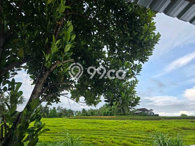 PROSPEKTIF! Tanah Kawasan Selemadeg, Luas 300m2m², Area Berkembang PROSPEKTIF! Tanah Kawasan Selemadeg, Luas 300m2m², Area Berkembang