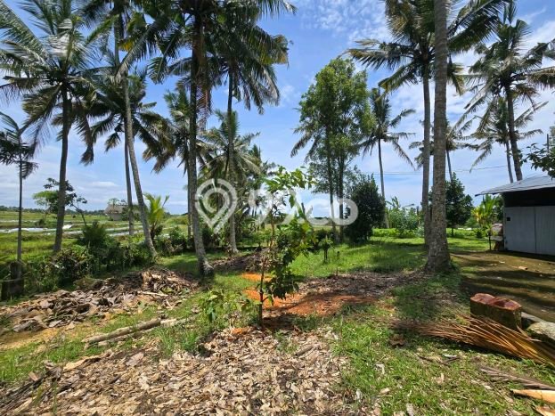 Lahan Kosong Dijual di Kerambitan, Tabanan, Luas 1200m2 Area Strategis Lahan Kosong Dijual di Kerambitan, Tabanan, Luas 1200m2 Area Strategis
