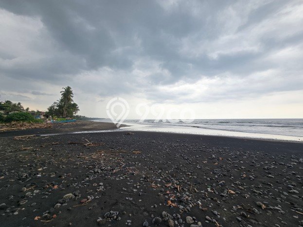 Tanah Dijual Lokasi Selemadeg, Tabanan Luas 500m2 Legalitas Aman Tanah Dijual Lokasi Selemadeg, Tabanan Luas 500m2 Legalitas Aman