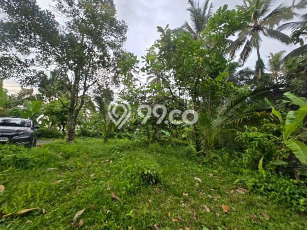 Lahan Dijual Lokasi Selemadeg, Tabanan dengan Luas Tanah 3000m2 dan Status SHM Lahan Dijual Lokasi Selemadeg, Tabanan dengan Luas Tanah 3000m2 dan Status SHM