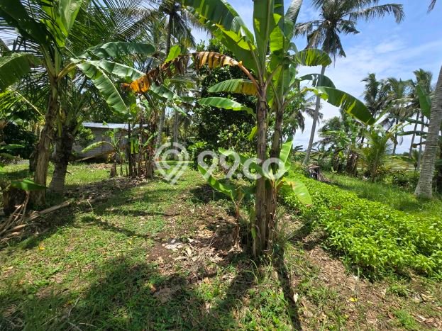 Lahan Kosong Dijual di Kerambitan, Tabanan, Luas 1200m2 Area Strategis Lahan Kosong Dijual di Kerambitan, Tabanan, Luas 1200m2 Area Strategis