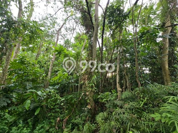 Dijual Tanah 500m2 di Antosari, Tabanan Dijual Tanah 500m2 di Antosari, Tabanan