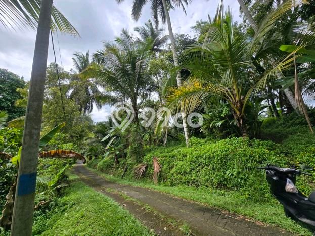 Tanah Kavling untuk Dijual di Selemadeg Tabanan 1700m2 Tanah Kavling untuk Dijual di Selemadeg Tabanan 1700m2