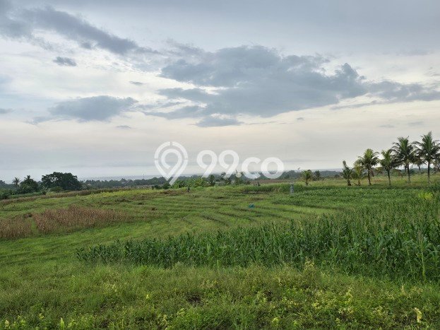Tanah Lokasi Strategis Kawasan Selemadeg, Luas 860m2m², Dekat ke Fasilitas Umum Tanah Lokasi Strategis Kawasan Selemadeg, Luas 860m2m², Dekat ke Fasilitas Umum