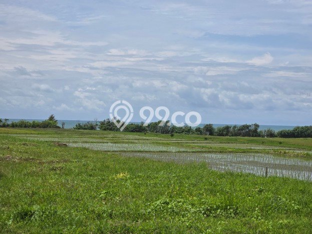 Lahan Dijual Lokasi Kerambitan, Tabanan dengan Luas Tanah 150m2 dan Status SHM Lahan Dijual Lokasi Kerambitan, Tabanan dengan Luas Tanah 150m2 dan Status SHM