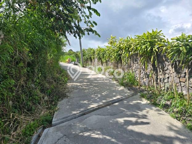 Tanah Kavling Dijual di Tabanan dengan Spesifikasi 9200m2 Tanah Kavling Dijual di Tabanan dengan Spesifikasi 9200m2