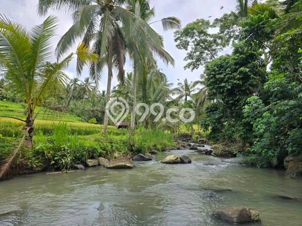 Lahan Kosong Dijual di Selemadeg, Tabanan, Luas 922m2 Area Strategis Lahan Kosong Dijual di Selemadeg, Tabanan, Luas 922m2 Area Strategis