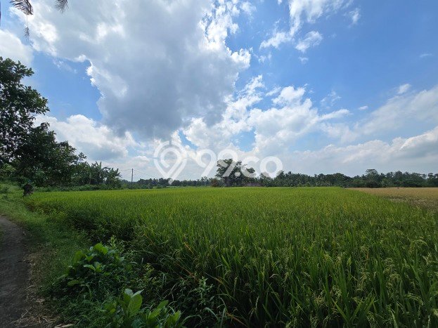 Kavling Tanah Dijual di Selemadeg, Tabanan, Luas 2400m2 Area Strategis Kavling Tanah Dijual di Selemadeg, Tabanan, Luas 2400m2 Area Strategis
