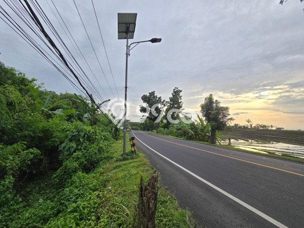 Dijual Tanah 500m2 di Antosari, Tabanan Dijual Tanah 500m2 di Antosari, Tabanan