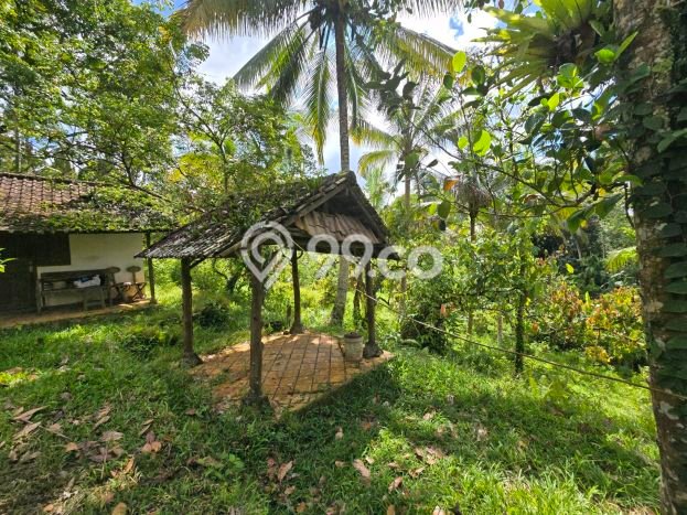 Tanah Dijual Lokasi Penebel, Tabanan dengan Luas Tanah 3000m2 dan Status SHM Tanah Dijual Lokasi Penebel, Tabanan dengan Luas Tanah 3000m2 dan Status SHM