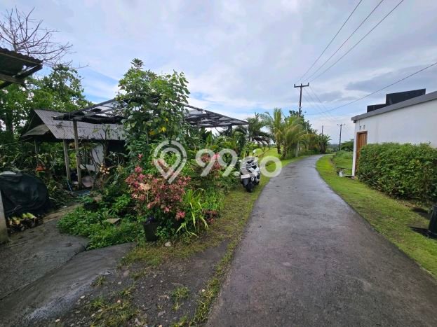Tanah Strategis di Selemadeg, Luas 1000m2m², Ideal untuk Perumahan Tanah Strategis di Selemadeg, Luas 1000m2m², Ideal untuk Perumahan