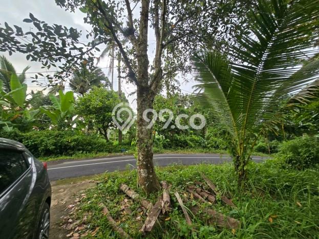 Lahan Dijual Lokasi Selemadeg, Tabanan dengan Luas Tanah 3000m2 dan Status SHM Lahan Dijual Lokasi Selemadeg, Tabanan dengan Luas Tanah 3000m2 dan Status SHM